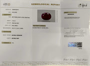 11.25/CT Natural Ruby Stone with Govt. Lab Certificate-16658S208747